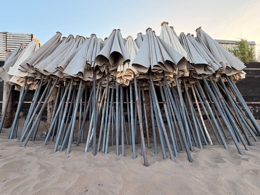 tuinparasol koopgids